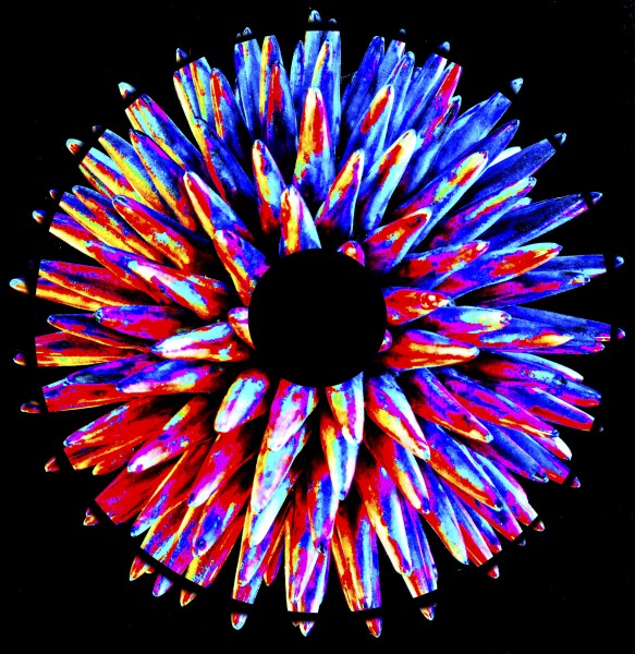 Firenze mostra I colori del Bosone di Higgs