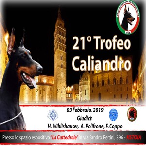 Pistoia sfilata di cani 21° Trofeo Piero Caliandro