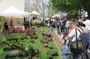 Lucca fiera mostra mercato VerdeMura 