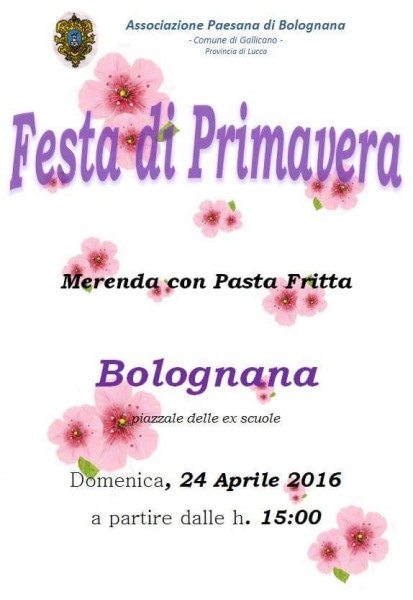 Gallicano Bolognana Festa di Primavera Lucca